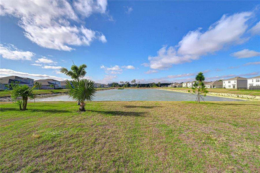 Natural landscape and outdoor views near in Zephyrhills (Image 72). Natural landscape and outdoor views near in Zephyrhills (Image 72).