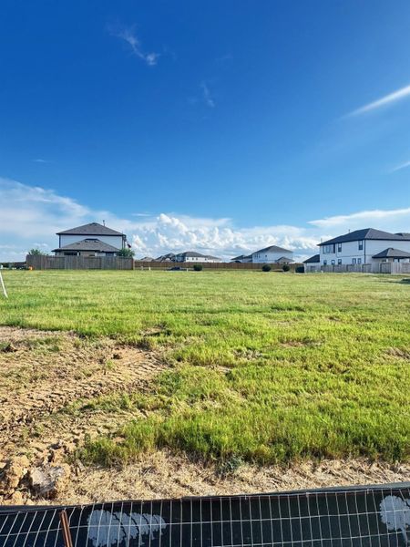 Natural landscape and outdoor views near Bluestem in Brookshire (Image 4). Natural landscape and outdoor views near Bluestem in Brookshire (Image 4).