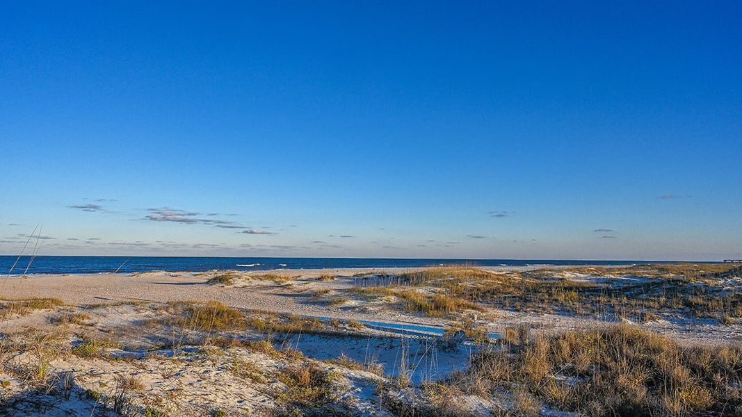 Natural landscape and outdoor views near Colbert Landings in Palm Coast (Image 83).