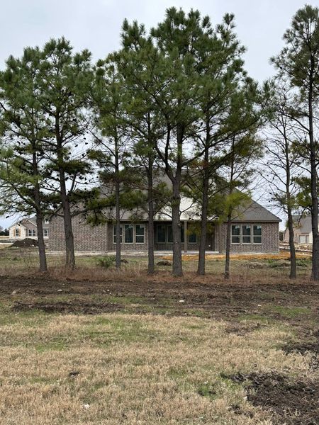 Natural landscape and outdoor views near Fannin Ranch in Leonard (Image 23).