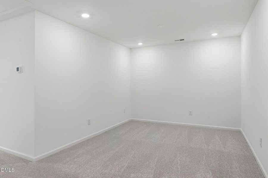 SUN_Marelli_Pic_Sutton-5