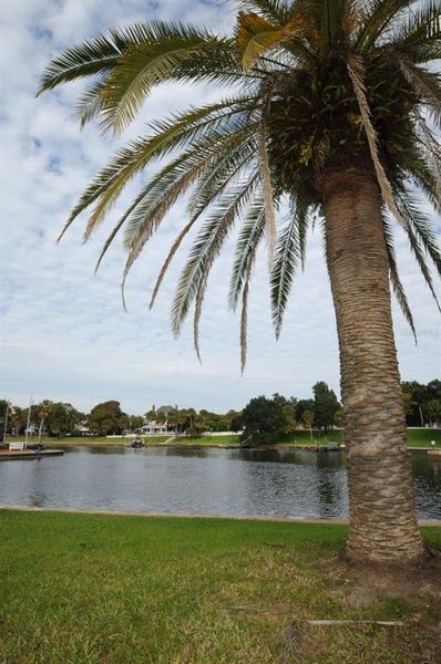 Natural landscape and outdoor views near in Tarpon Springs (Image 56). Natural landscape and outdoor views near in Tarpon Springs (Image 56).
