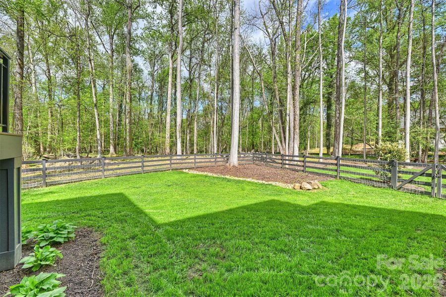 Natural landscape and outdoor views near  in Charlotte (Image 44).