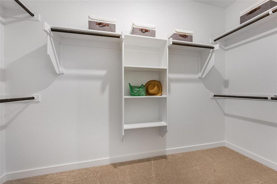 Spacious closet with carpet flooring