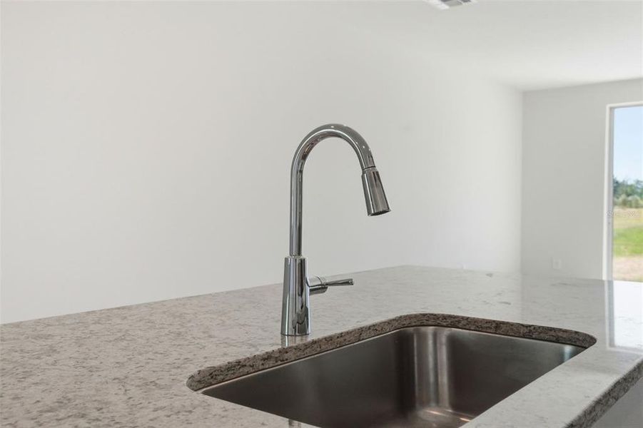 Close-up of interior finishes inside a home in Leyland Preserve - Premier Series, Brooksville (Image 22).