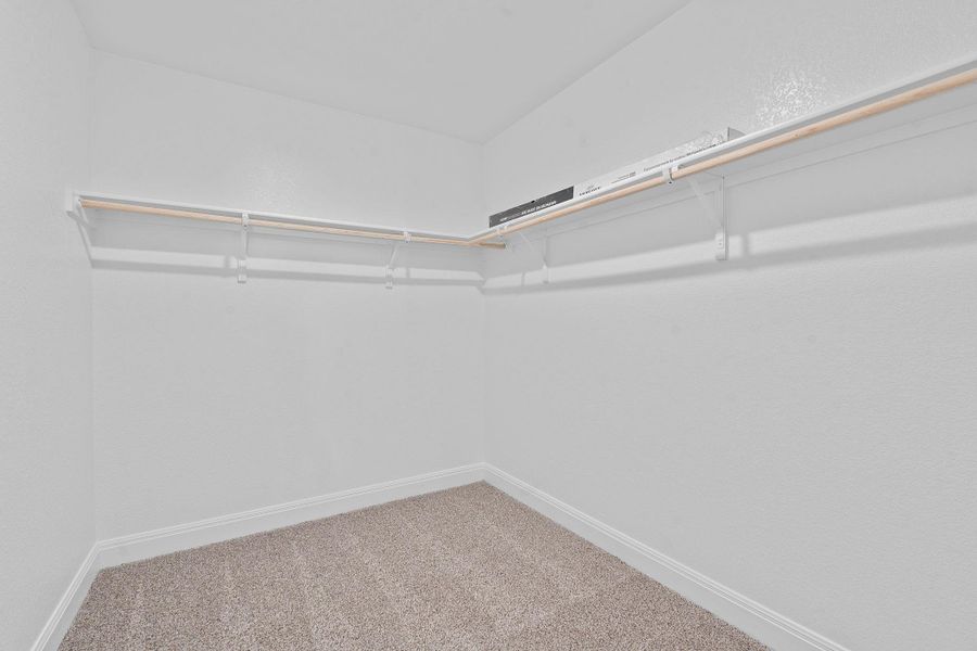 Spacious closet featuring carpet floors Spacious closet featuring carpet floors