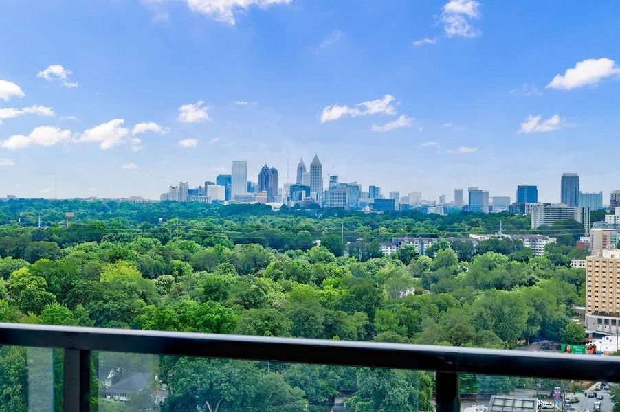Natural landscape and outdoor views near The Dillon Buckhead in Atlanta (Image 45).