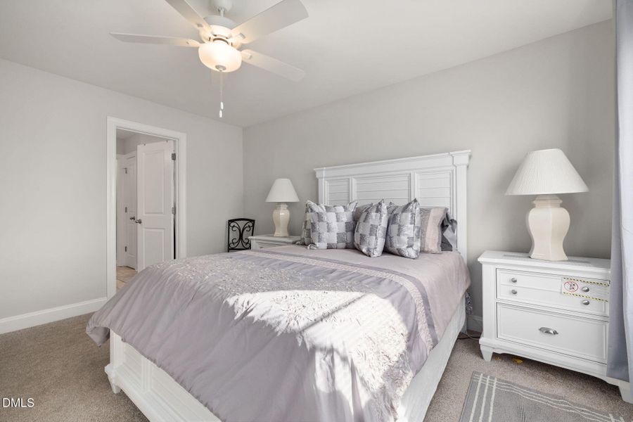 25-web-or-mls-DX3A0578