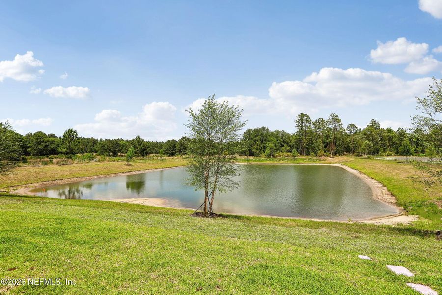 Natural landscape and outdoor views near The District at Oakleaf - The Commons in Middleburg (Image 25).