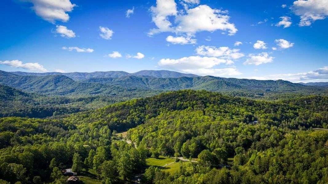 Natural landscape and outdoor views near  in Blue Ridge (Image 79).