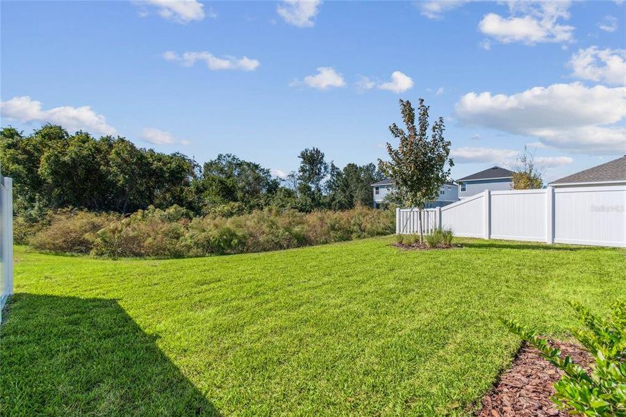 Exterior details and patio area of a home in Persimmon Park - Garden Series, Wesley Chapel (Image 3).