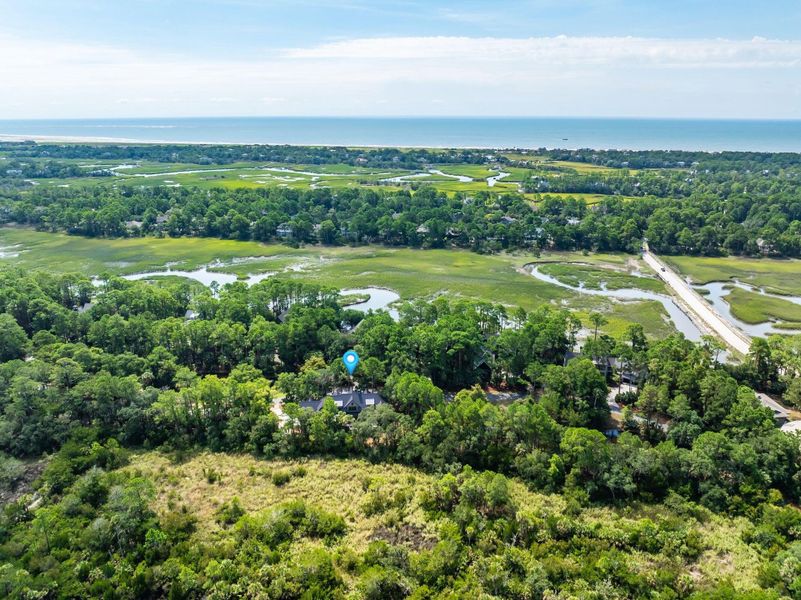 Natural landscape and outdoor views near  in Kiawah Island (Image 73).