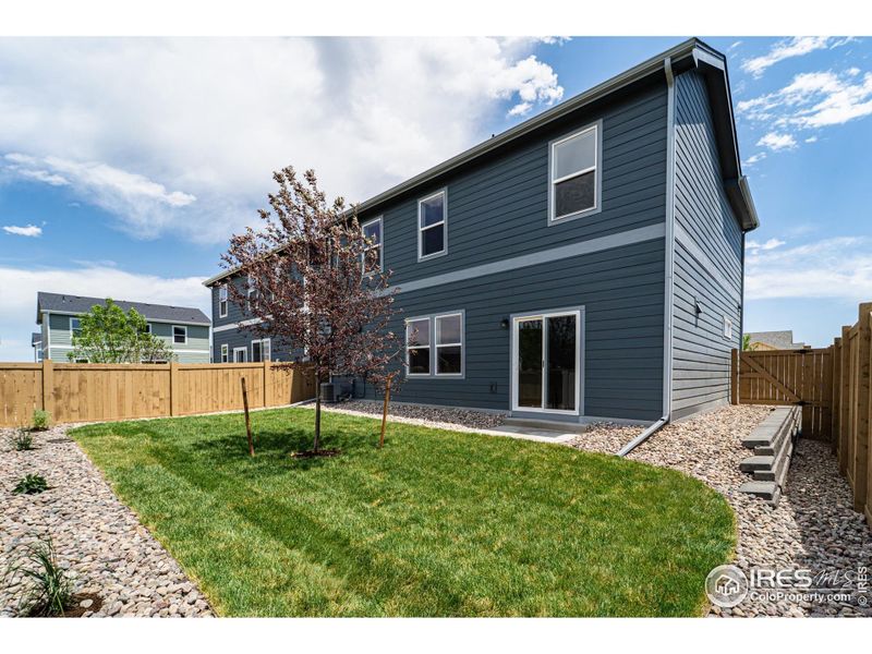 Front exterior of a new home in Sage Meadows, Wellington, CO, highlighting curb appeal (Image 13).