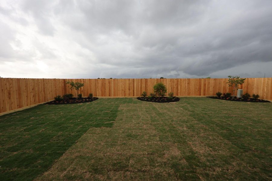 Backyard