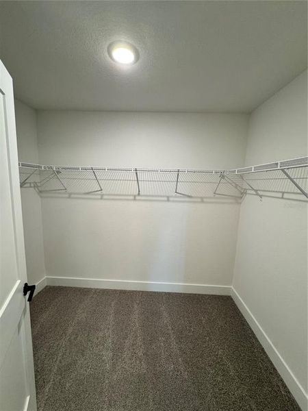 Spacious, unfurnished interior of a new home in Watercress Cove, North Port (Image 14).