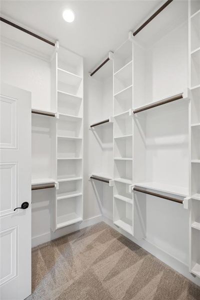 Spacious closet featuring light carpet