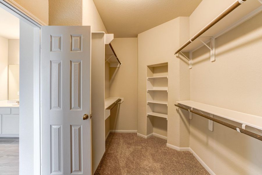 representative photo representative photo