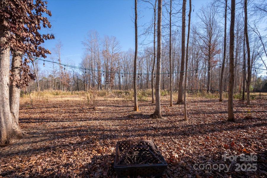 Natural landscape and outdoor views near  in Mint Hill (Image 46).