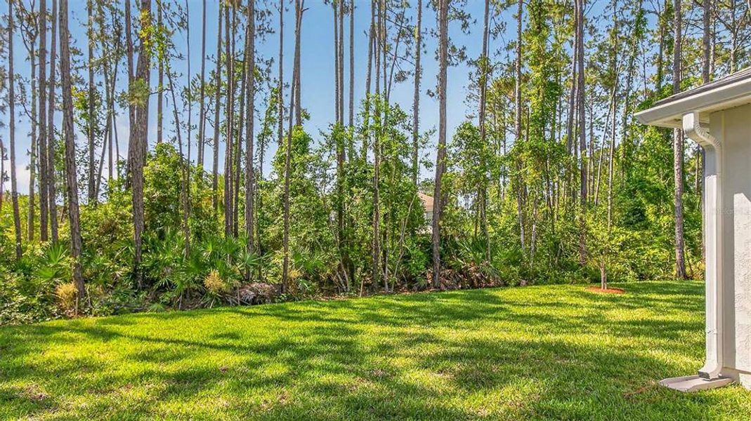 Exterior details and patio area of a home in Palm Coast Homesites, Palm Coast (Image 23). Exterior details and patio area of a home in Palm Coast Homesites, Palm Coast (Image 23).