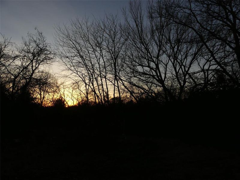 Natural landscape and outdoor views near  in Forestburg (Image 19).