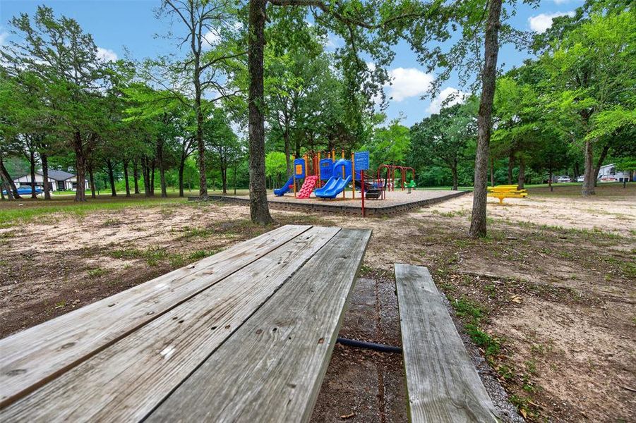 Park Picnic tables
