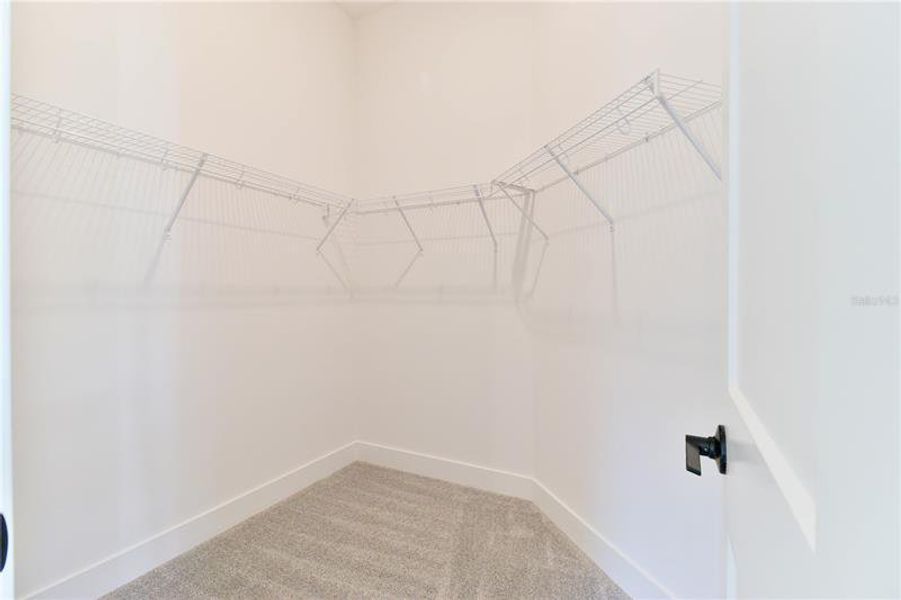 Spacious, unfurnished interior of a new home in Briarwood, Alachua (Image 17). Spacious, unfurnished interior of a new home in Briarwood, Alachua (Image 17).