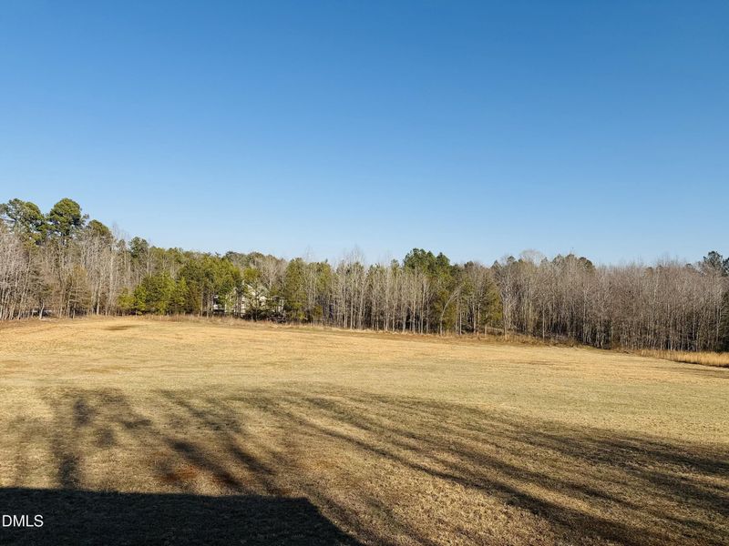 Joy_20260210_152158_831_photo