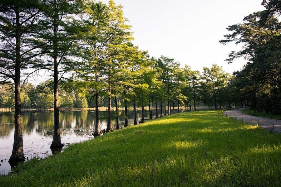 Reconnect with nature along miles of scenic trails that weave through preserved forests, offering a peaceful escape just steps from home.