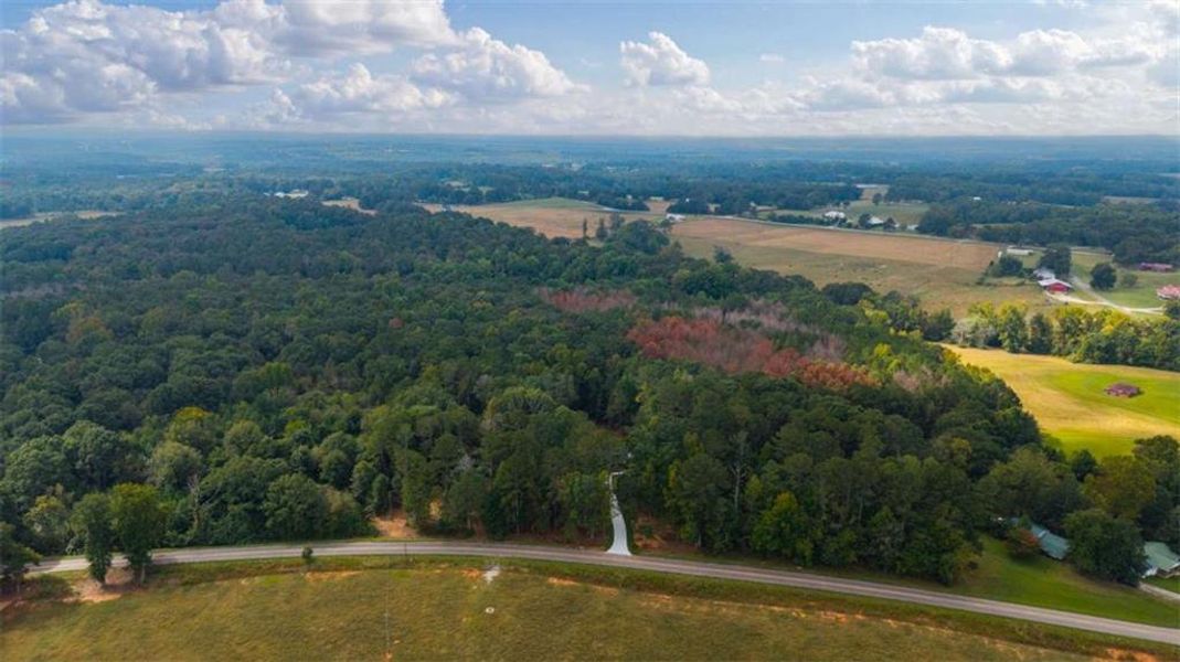 Natural landscape and outdoor views near  in Bowdon (Image 39).