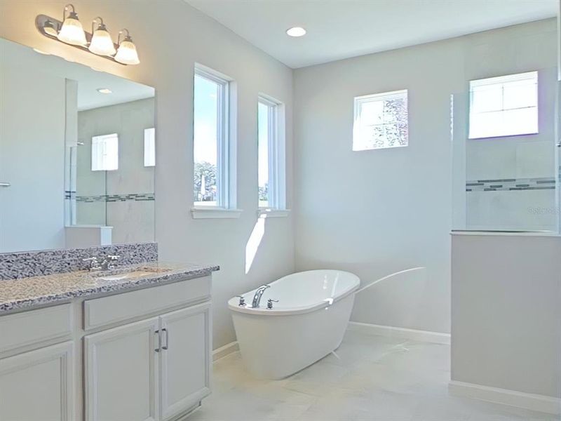 Furnished interior view inside a new home in Palms at Windermere, Windermere (Image 5).