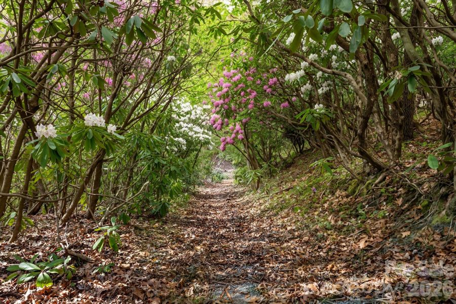 Natural landscape and outdoor views near  in Black Mountain (Image 34).