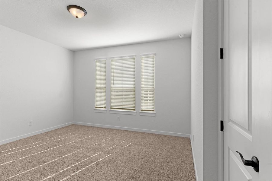 Unfurnished room featuring carpet floors and baseboards