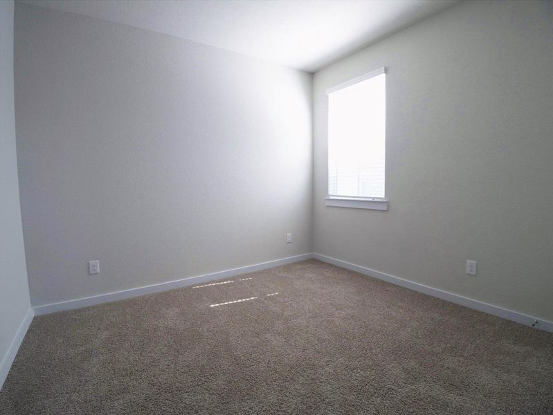 Spare room with carpet and baseboards Spare room with carpet and baseboards