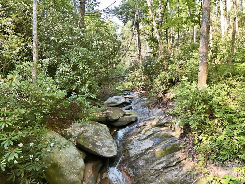 Natural landscape and outdoor views near in Hendersonville (Image 21). Natural landscape and outdoor views near in Hendersonville (Image 21).