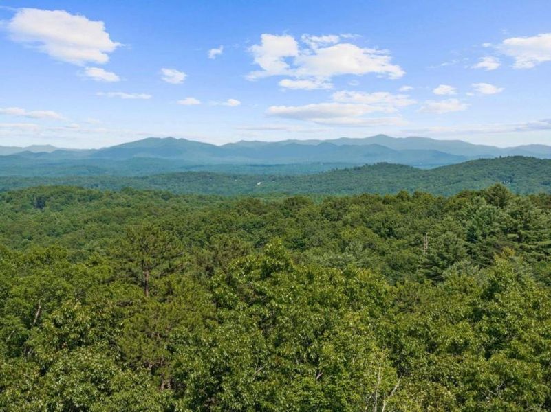 Natural landscape and outdoor views near in Morganton (Image 49). Natural landscape and outdoor views near in Morganton (Image 49).