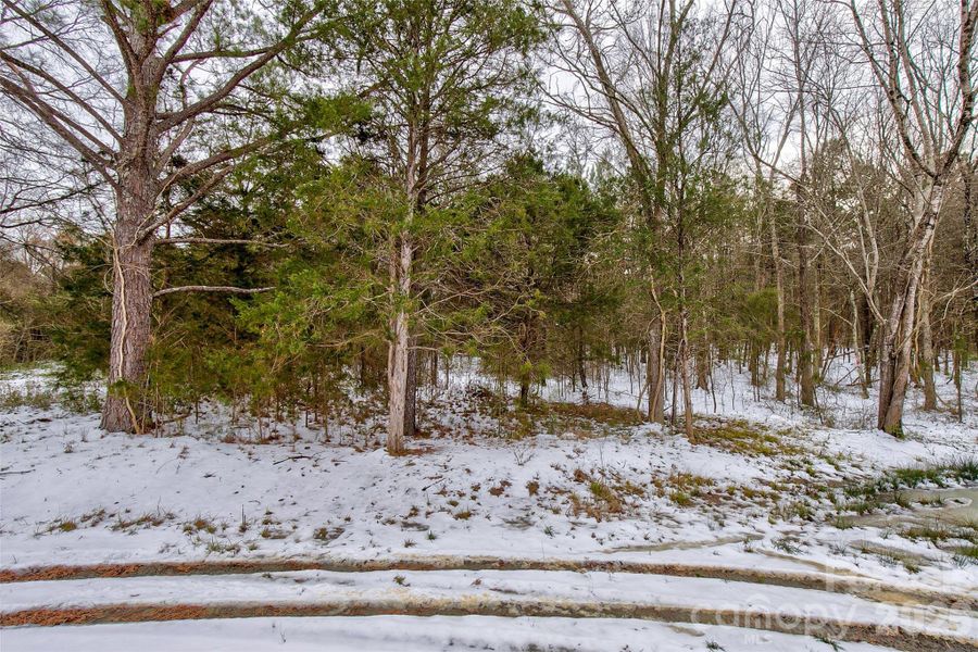 Natural landscape and outdoor views near  in Chester (Image 44).