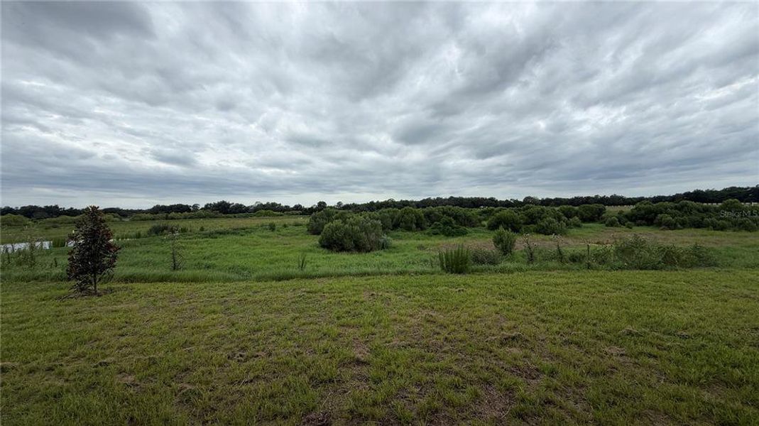 Natural landscape and outdoor views near Applewood Reserve in Lakeland (Image 31). Natural landscape and outdoor views near Applewood Reserve in Lakeland (Image 31).