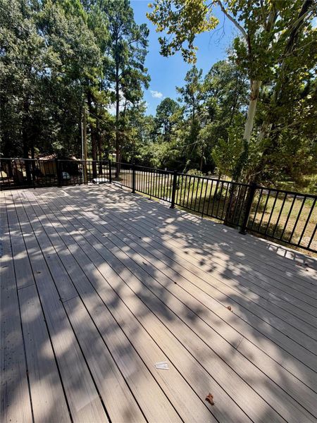 Natural landscape and outdoor views near  in Shepherd (Image 39).