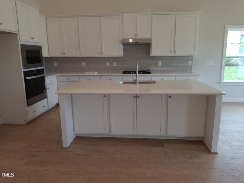 1000001379 1000001379