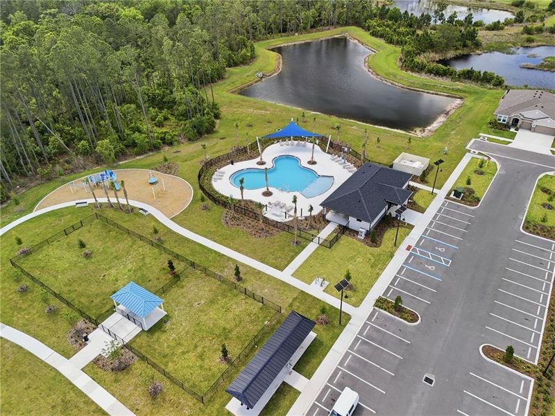 Community amenities in Deerbrook, Land O' Lakes (Image 42).