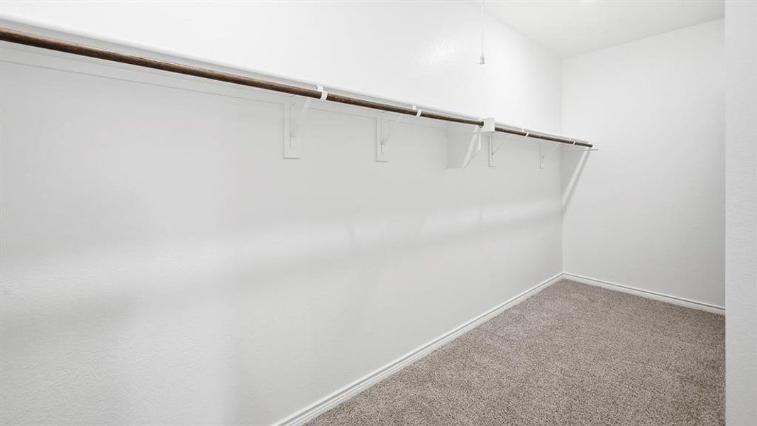 Walk in closet with carpet floors