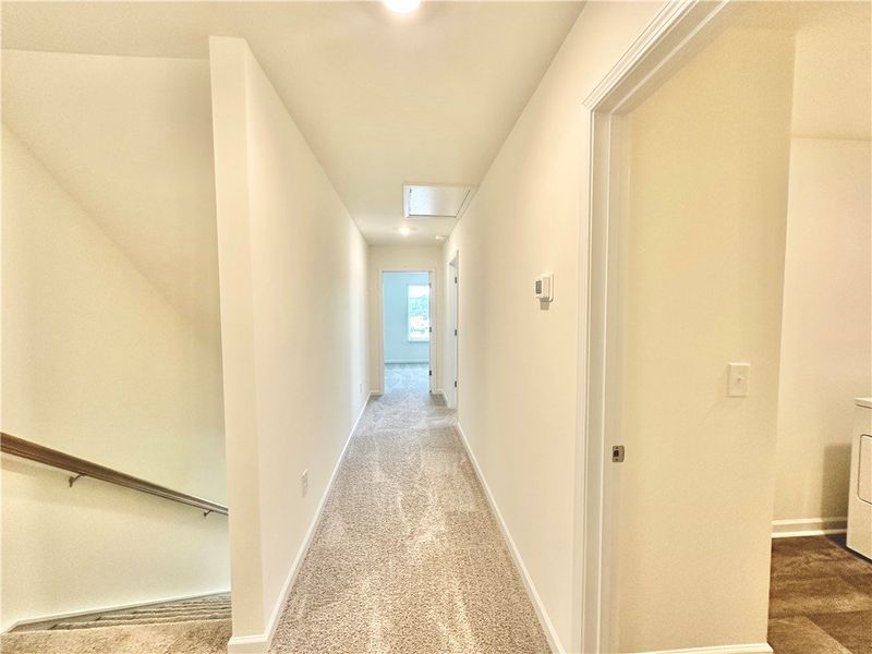 *Photo is from similar Palomino. Actual pics will *Photo is from similar Palomino. Actual pics will