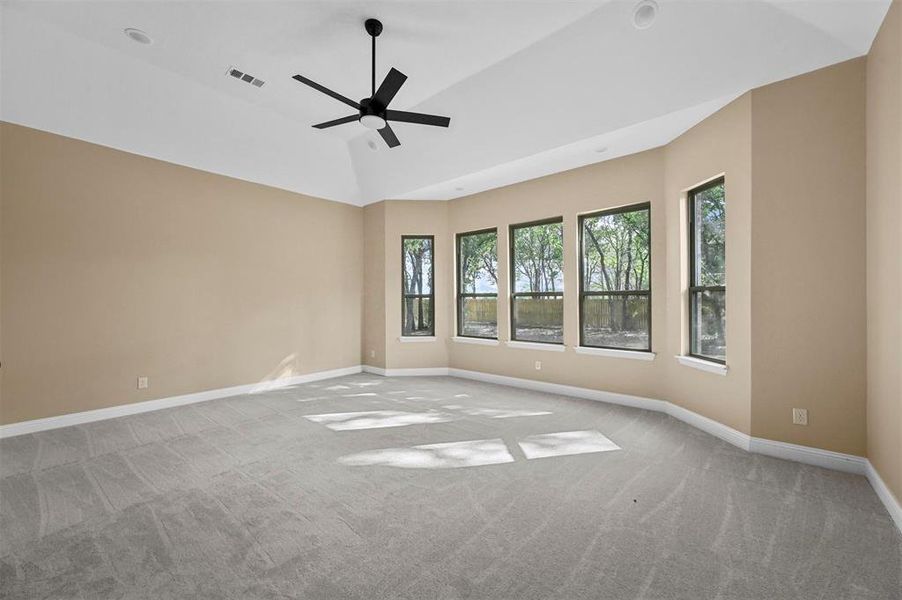 Carpeted spare room featuring lofted ceiling and ceiling fan