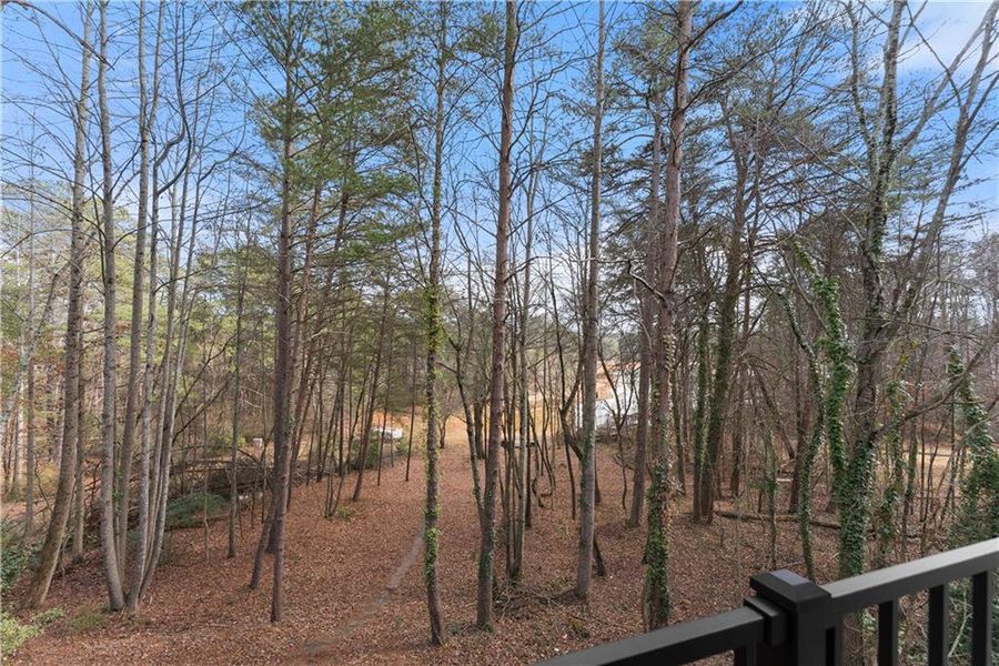 Natural landscape and outdoor views near  in Cumming (Image 52).