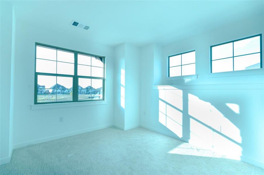Bedroom featuring carpet flooring and plenty of natural light