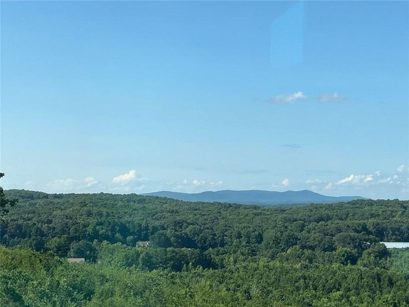 Natural landscape and outdoor views near Horizon at Laurel Canyon in Canton (Image 21).