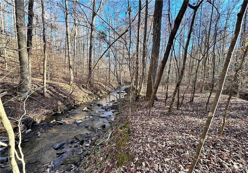 Natural landscape and outdoor views near  in Cumming (Image 28).