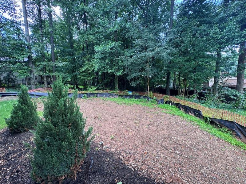 Natural landscape and outdoor views near  in Alpharetta (Image 90).