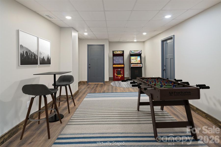 Lower Level Bonus Room - Virtually Staged
