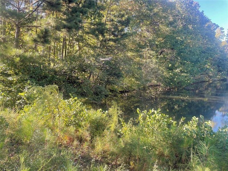 Natural landscape and outdoor views near Bryson Lake in Douglasville (Image 41).